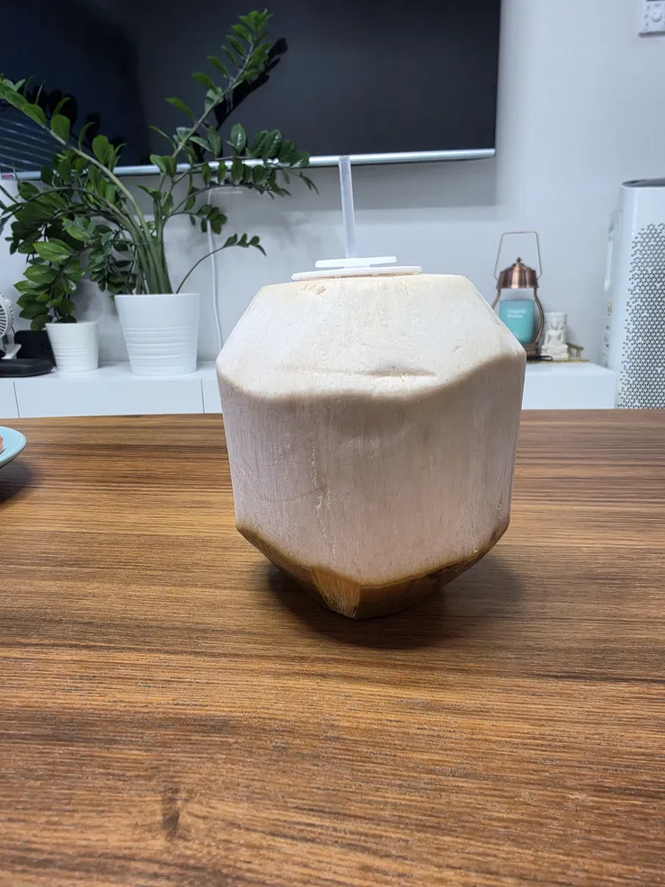 코스트코100%동남아 맛.pic 이미지 2