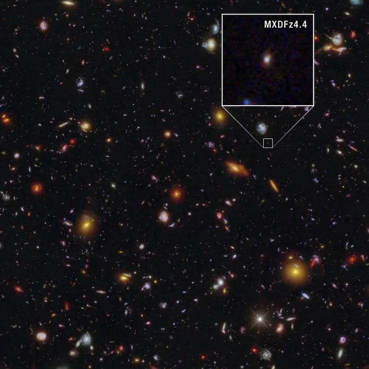 2000x2000.jpg