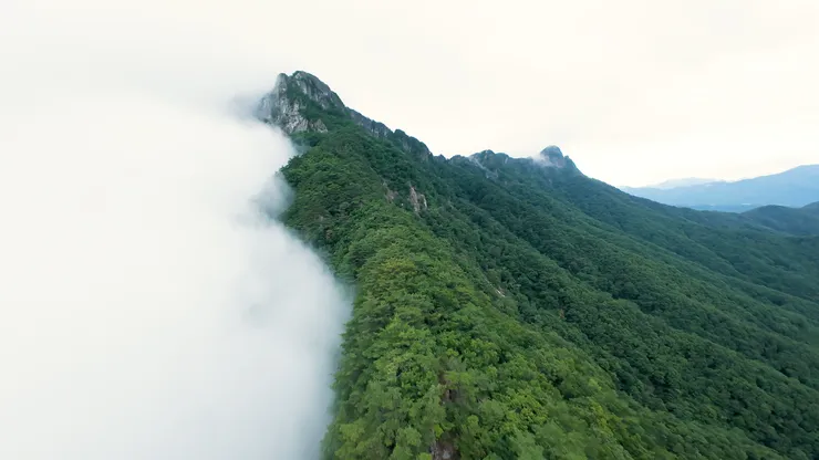 DJI_20260808184824_0003_D_joined_stabilized.00_23_15_06.Still016.jpg