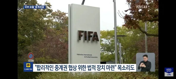 법사위 소위에서 통과된 올림픽,월드컵 중계 의무화 법 이미지 10