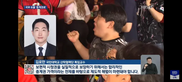 법사위 소위에서 통과된 올림픽,월드컵 중계 의무화 법 이미지 11