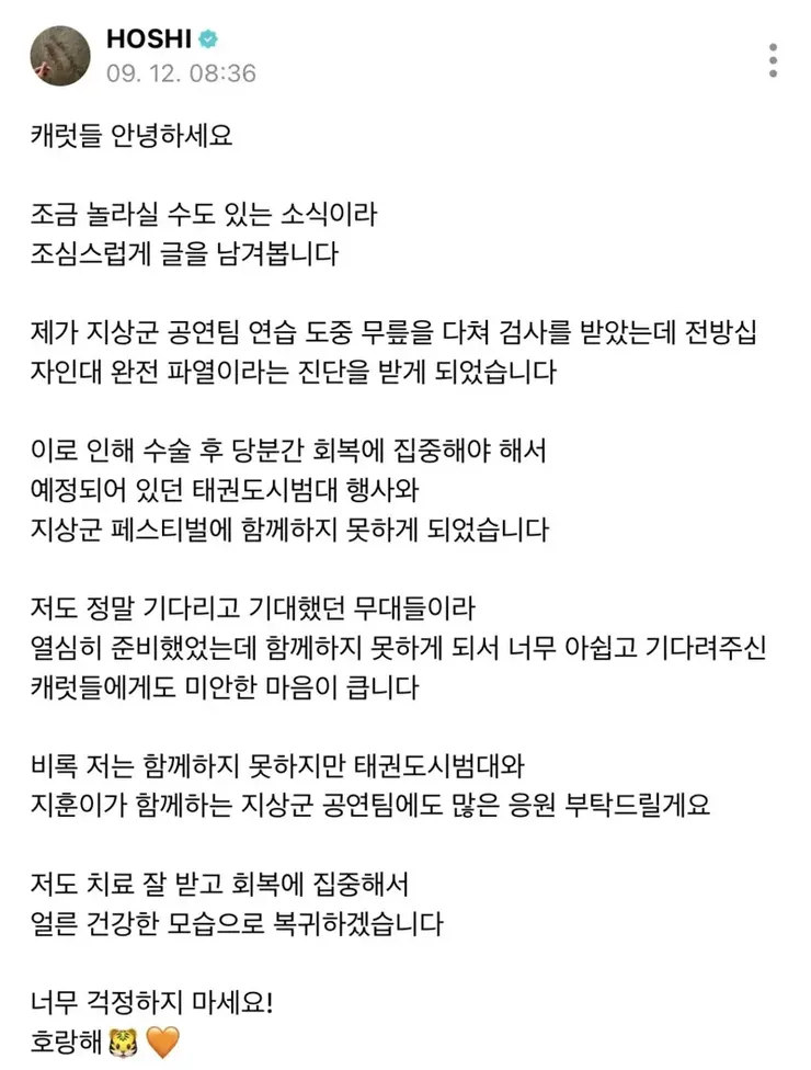 전방 십자인대 파열 진단 받은 세븐틴 호시 이미지 1