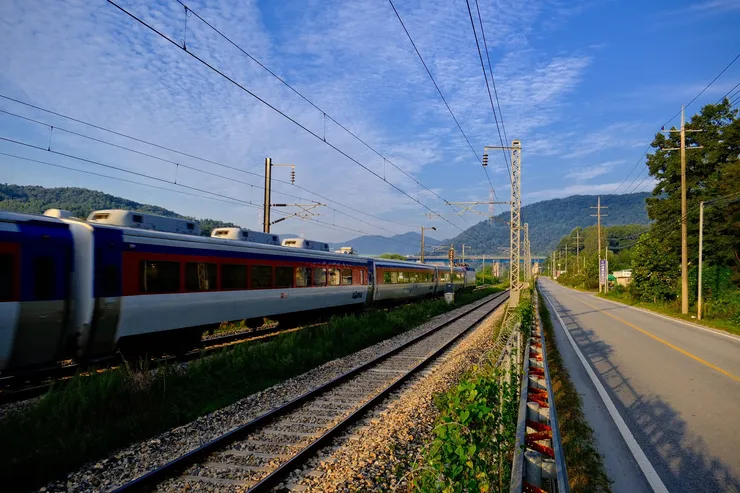 3164.jpg