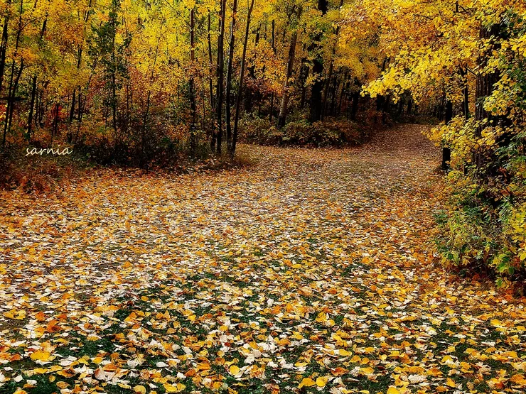 20221001_093403.jpg