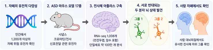image3_effect (8).png