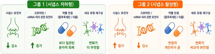 image4_effect (2).png