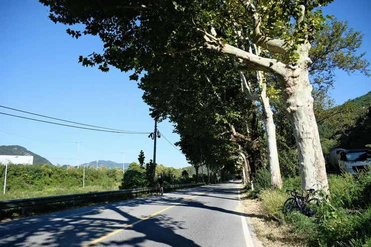 3254.jpg