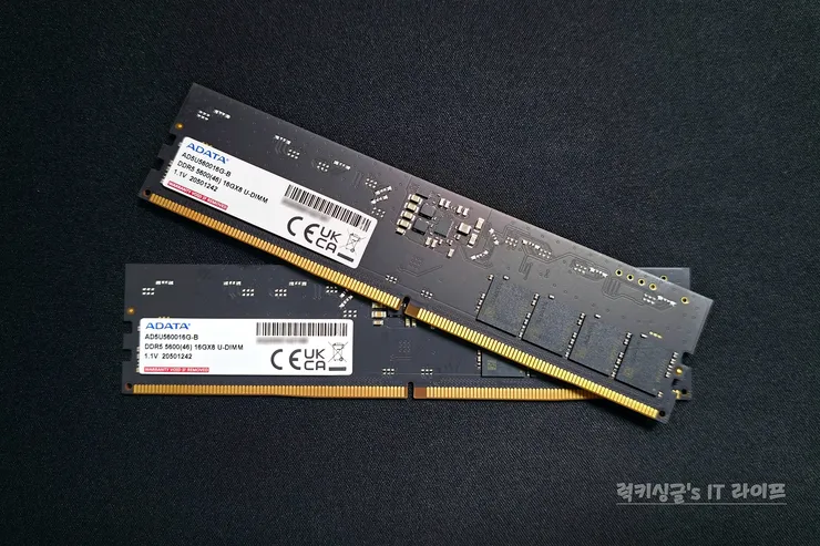 adata ddr5 메모리-17.jpg