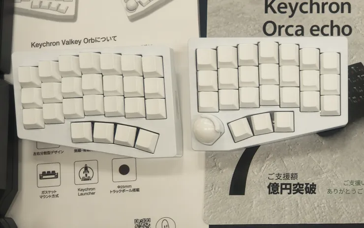 orca-echo.png