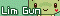 Lim Gun