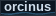 orcinus